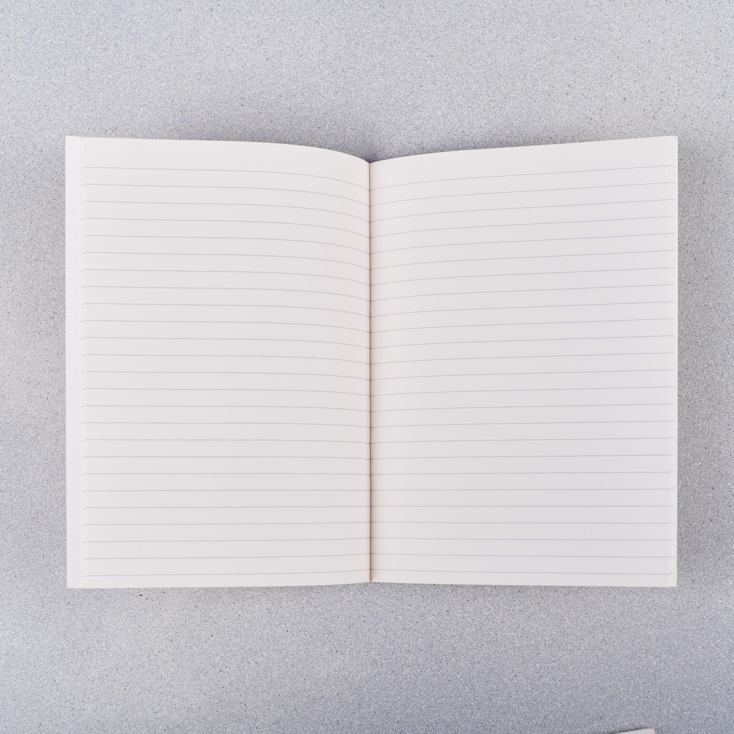 Penna Aurora - Notebook